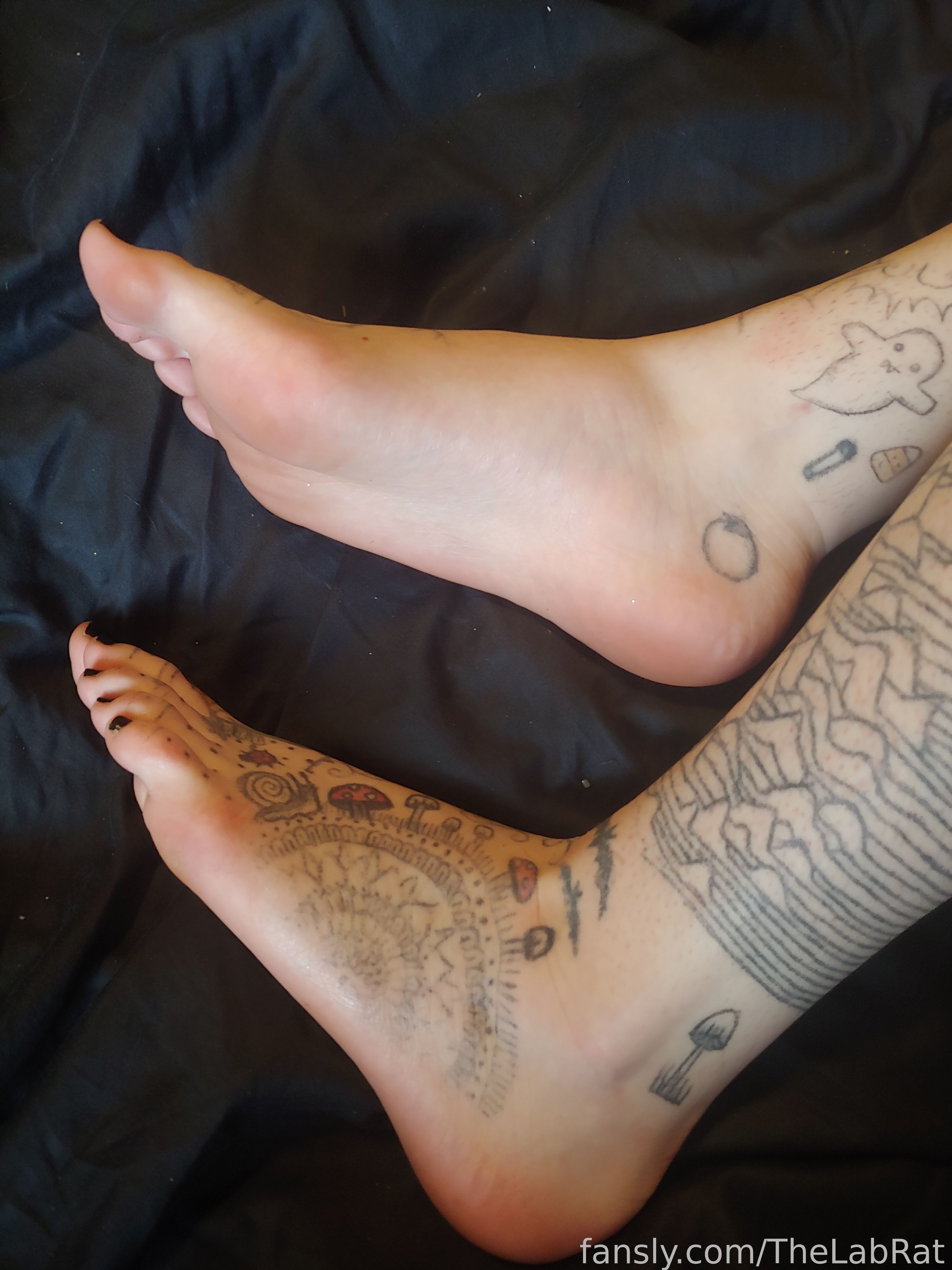Image 9427641 from TheLabRat