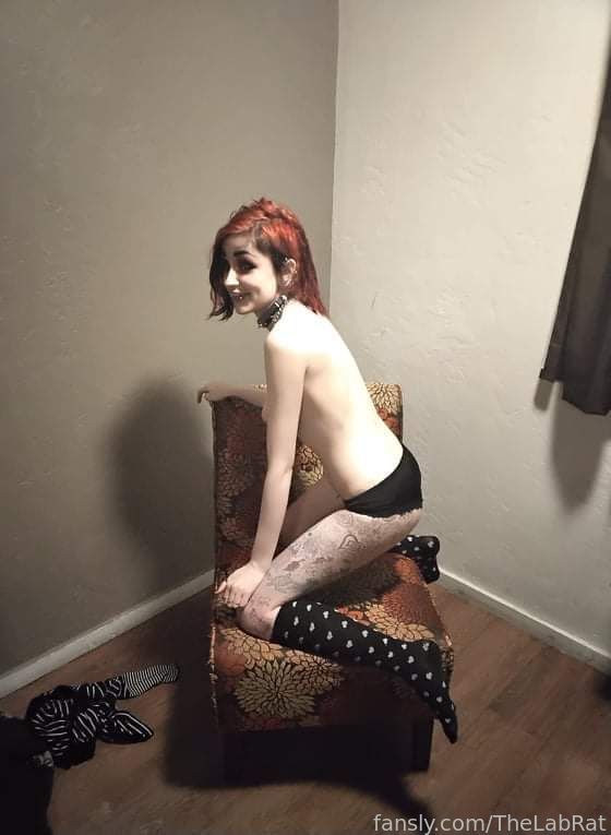 Image 9427662 from TheLabRat