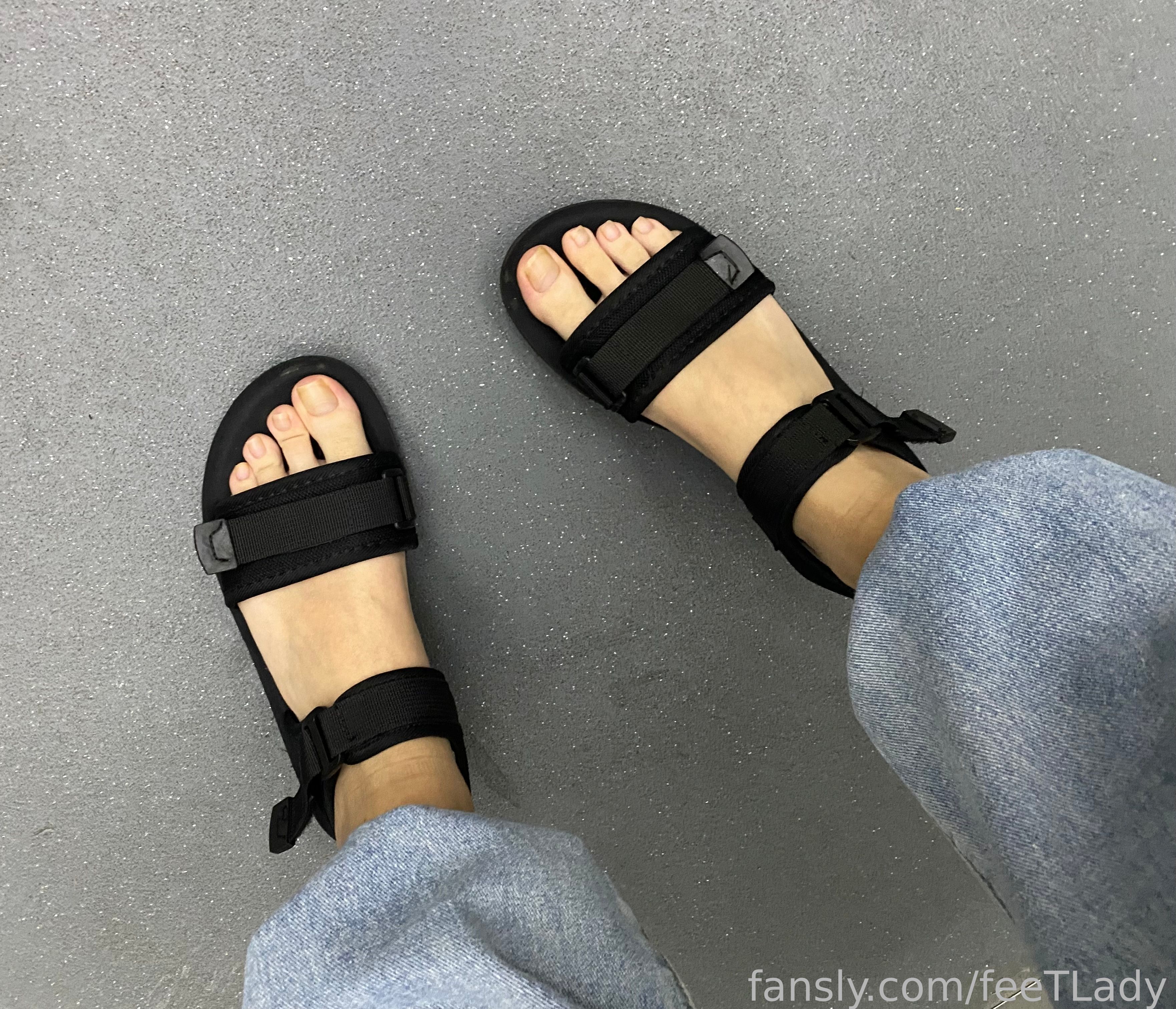 Image 9499093 from feeTLady