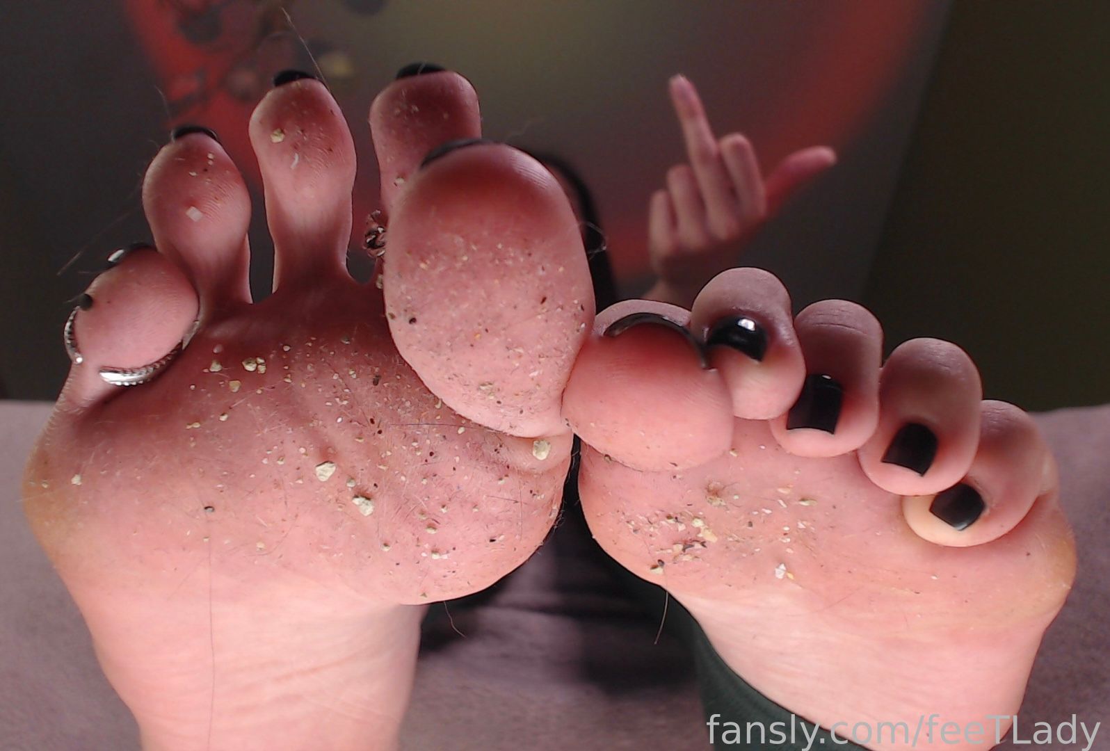 Image 9499129 from feeTLady