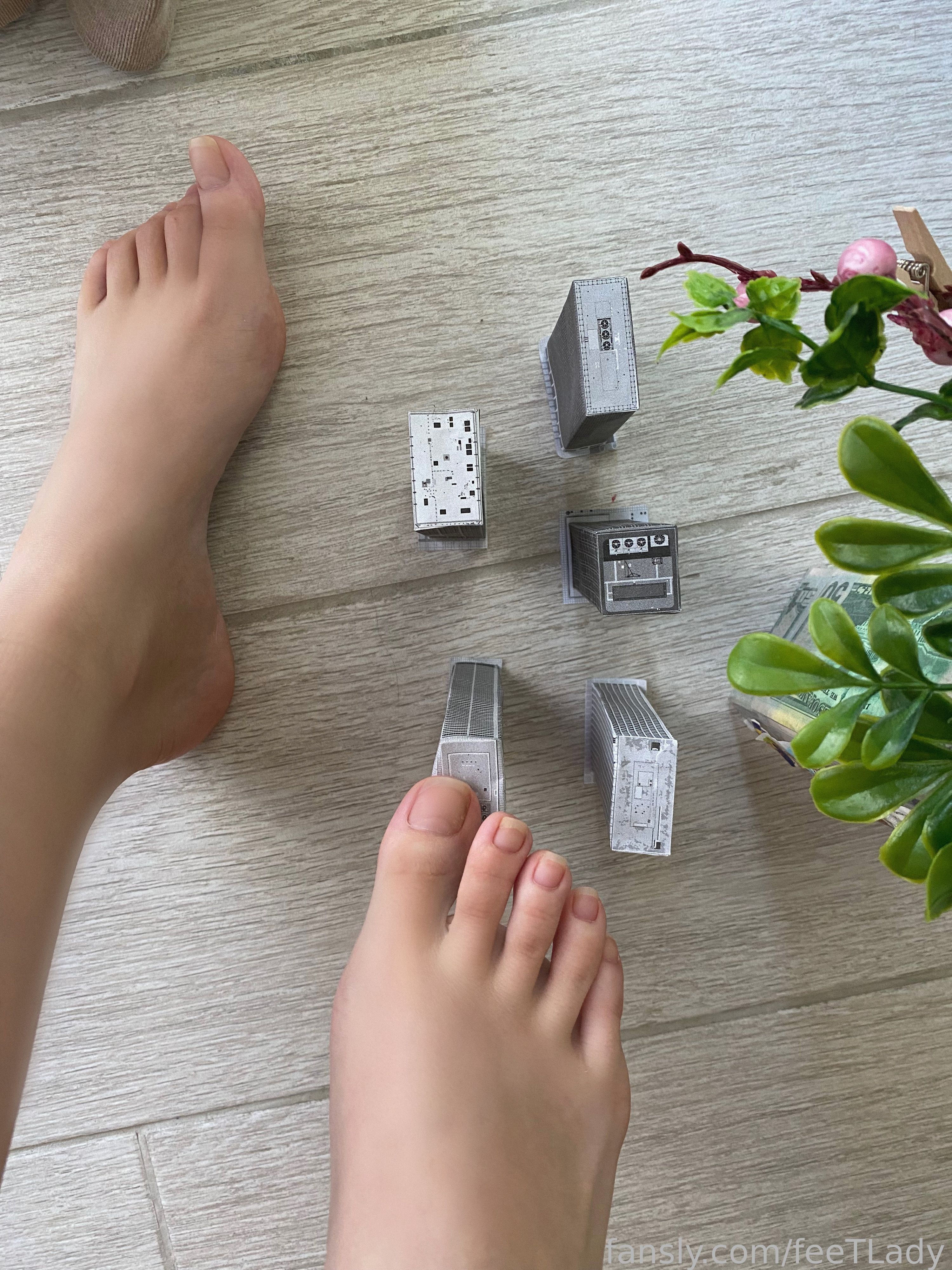 Image 9499134 from feeTLady