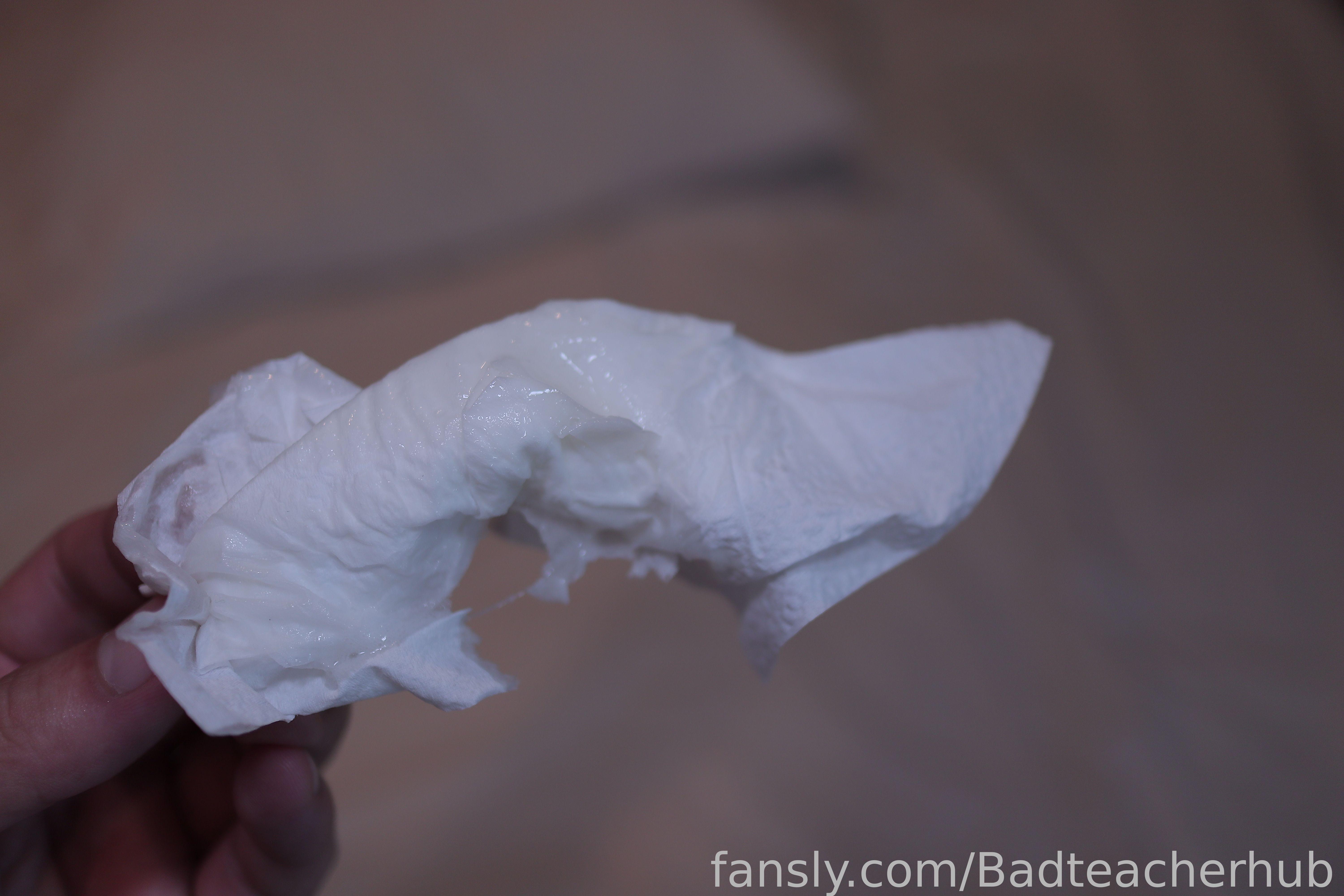Image 9504604 from Badteacherhub