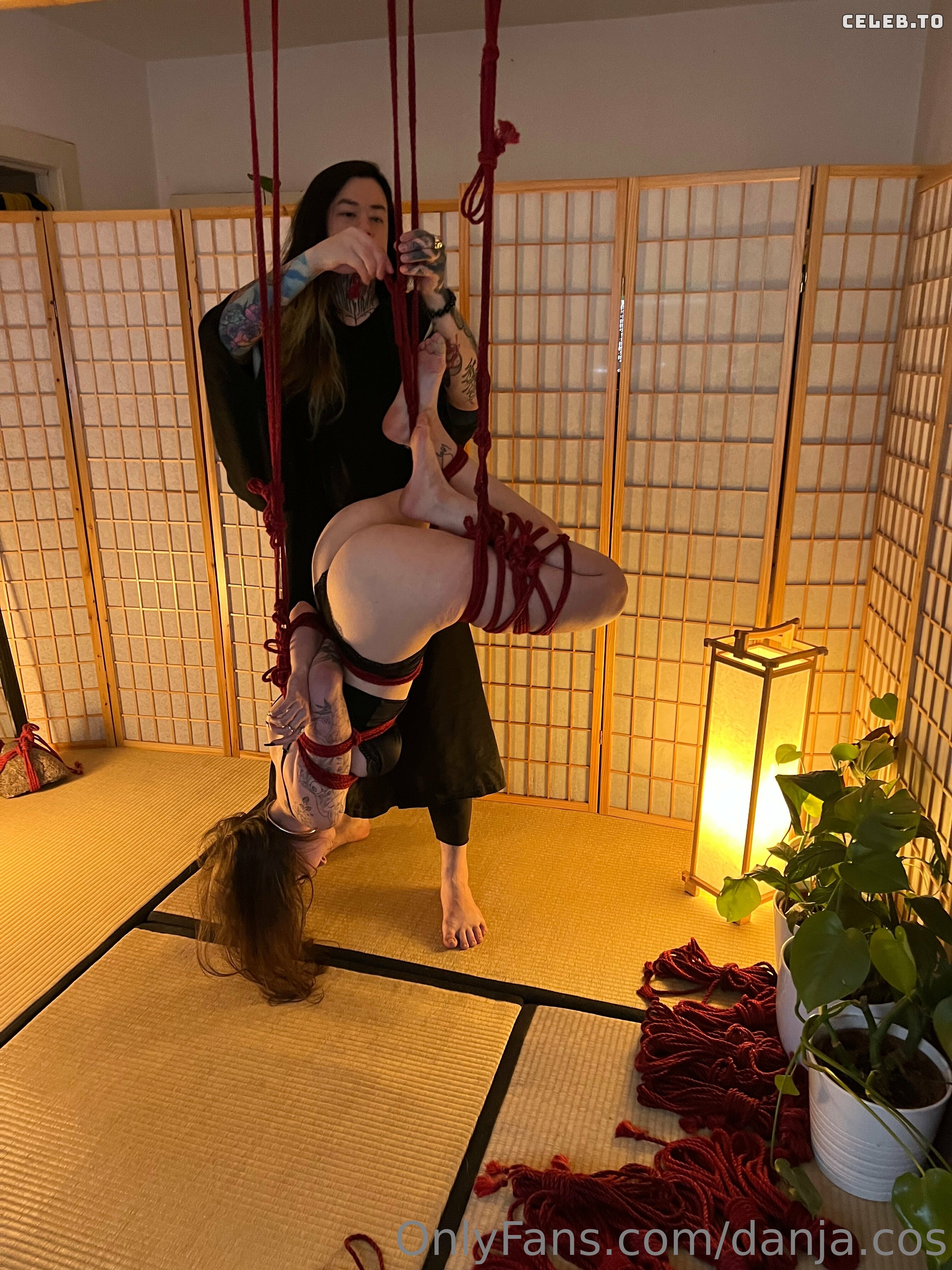 Image 9801052 from Danja.cos