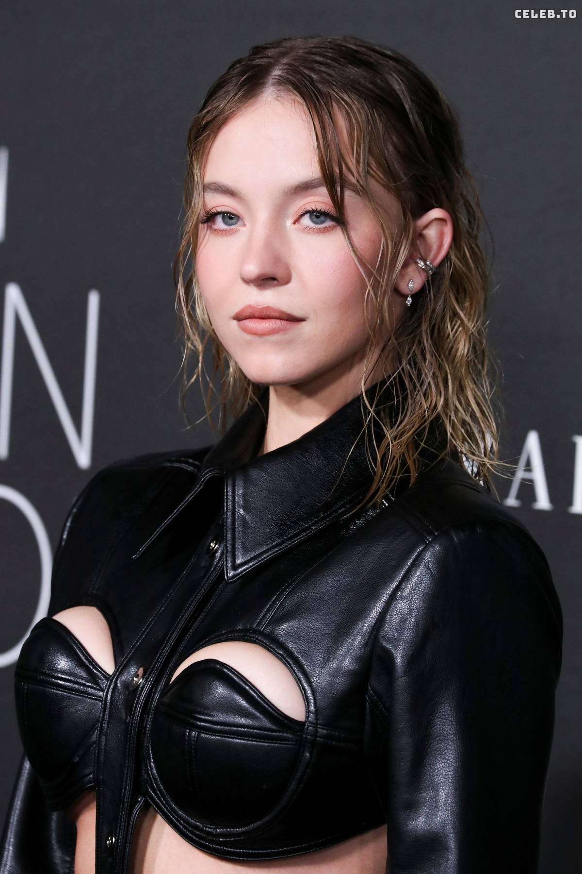 Image 9816667 from Sydney Sweeney