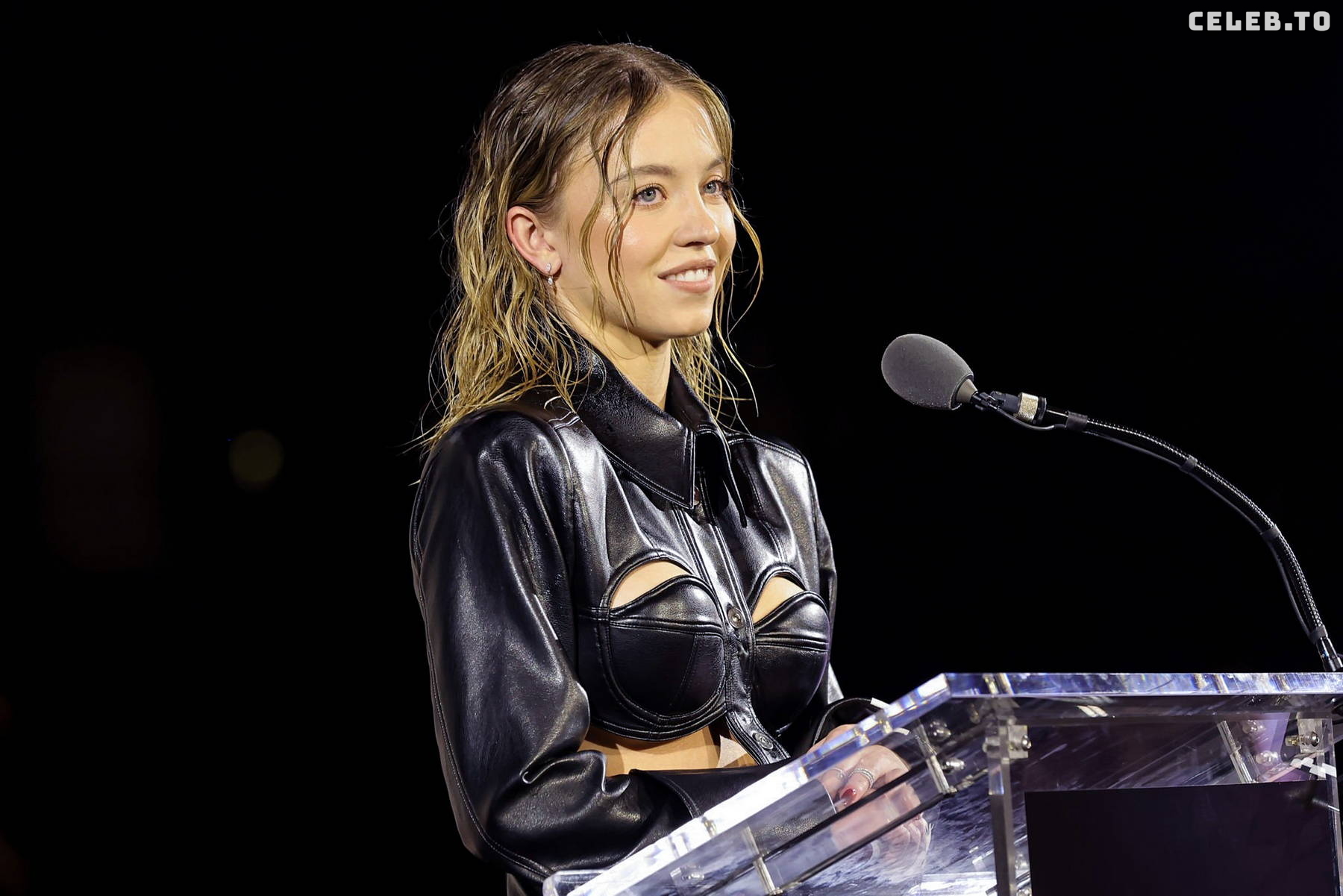 Image 9816688 from Sydney Sweeney