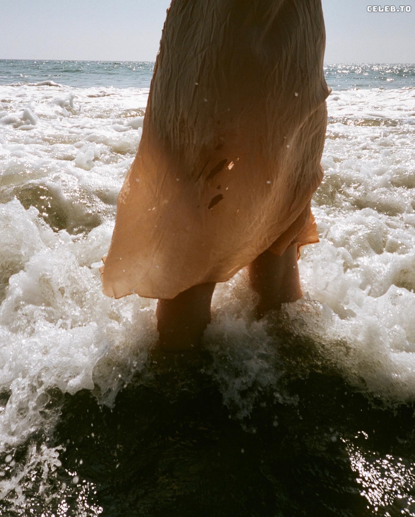 Image 9828204 from Alyson Gorske
