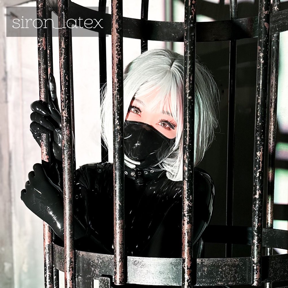 Image 9833880 from siron_latex