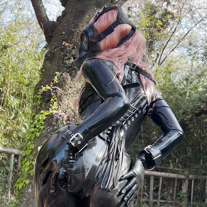 Image 9833896 from siron_latex