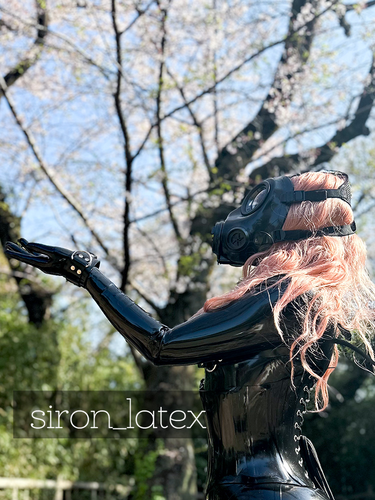 Image 9833902 from siron_latex