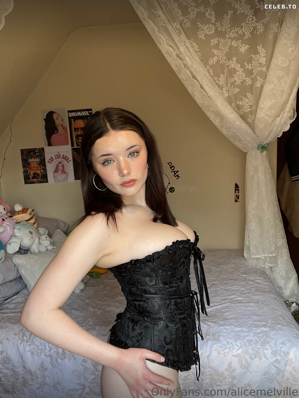 Image 9880811 from alicemelville