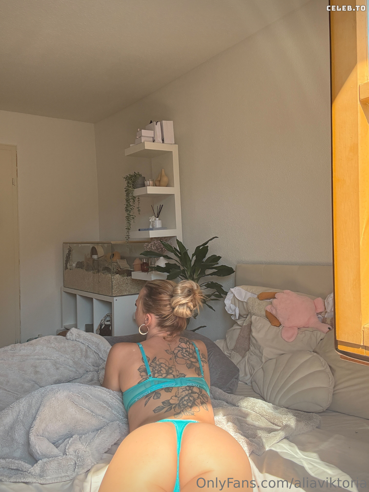 Image 9914130 from Aliabaddie