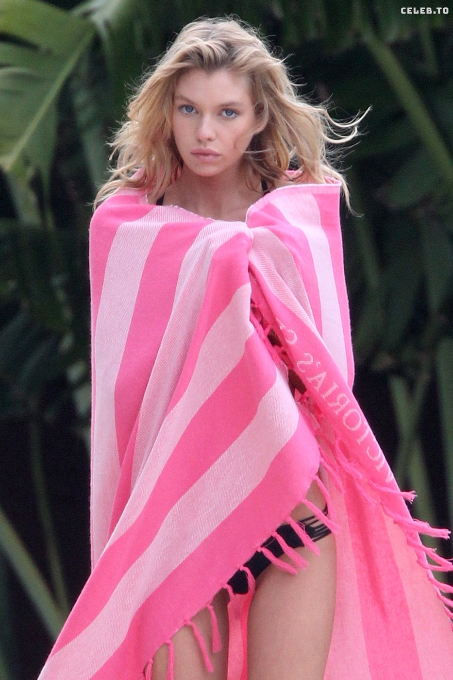 Image 9919257 from Stella Maxwell