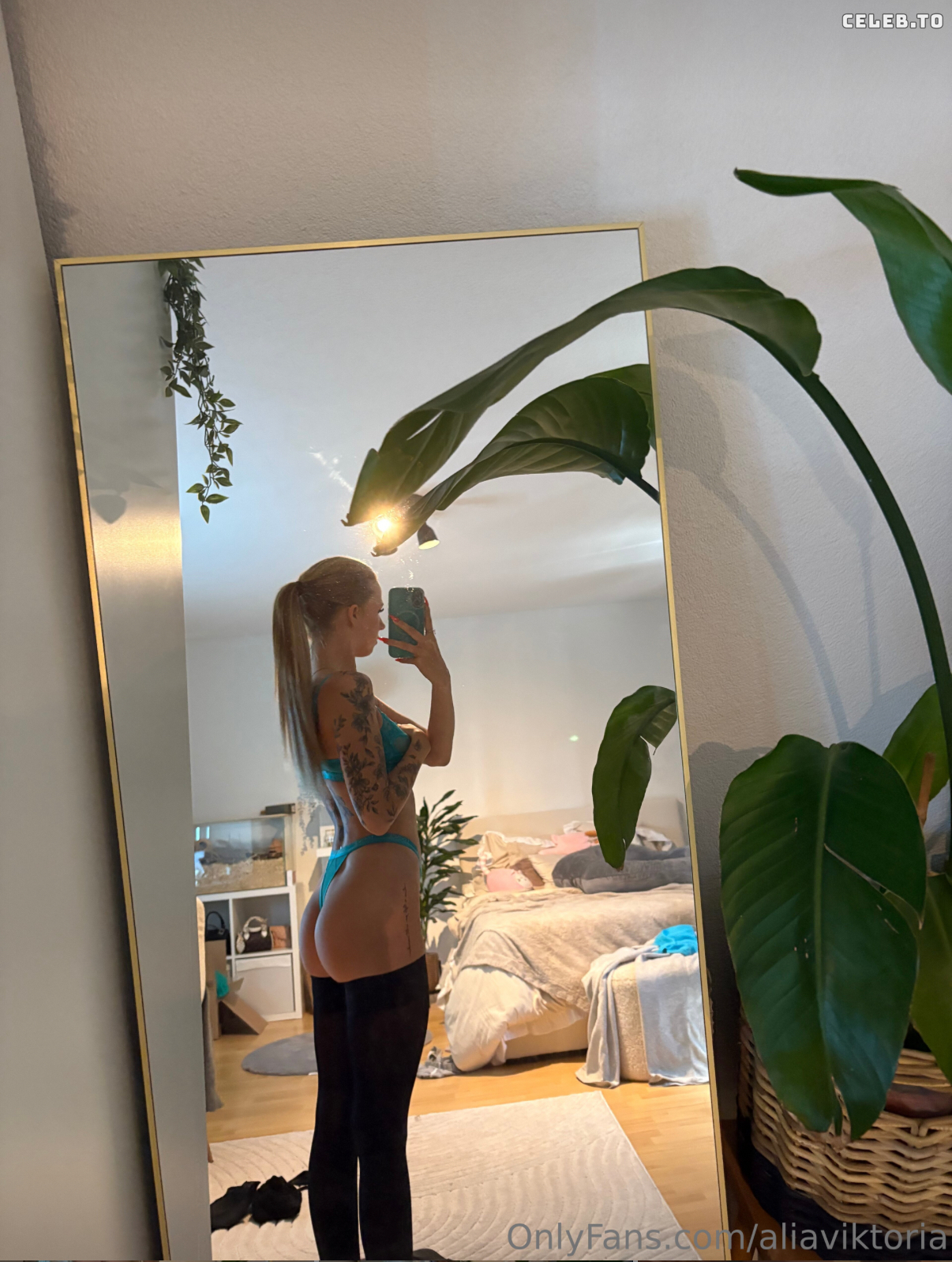 Image 9930753 from Aliabaddie