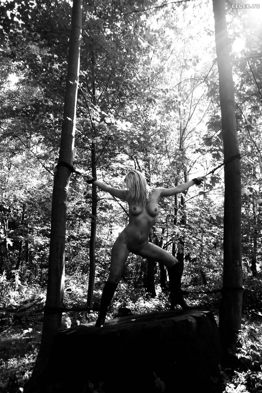 Image 9958707 from Calvato Photography - Patreon