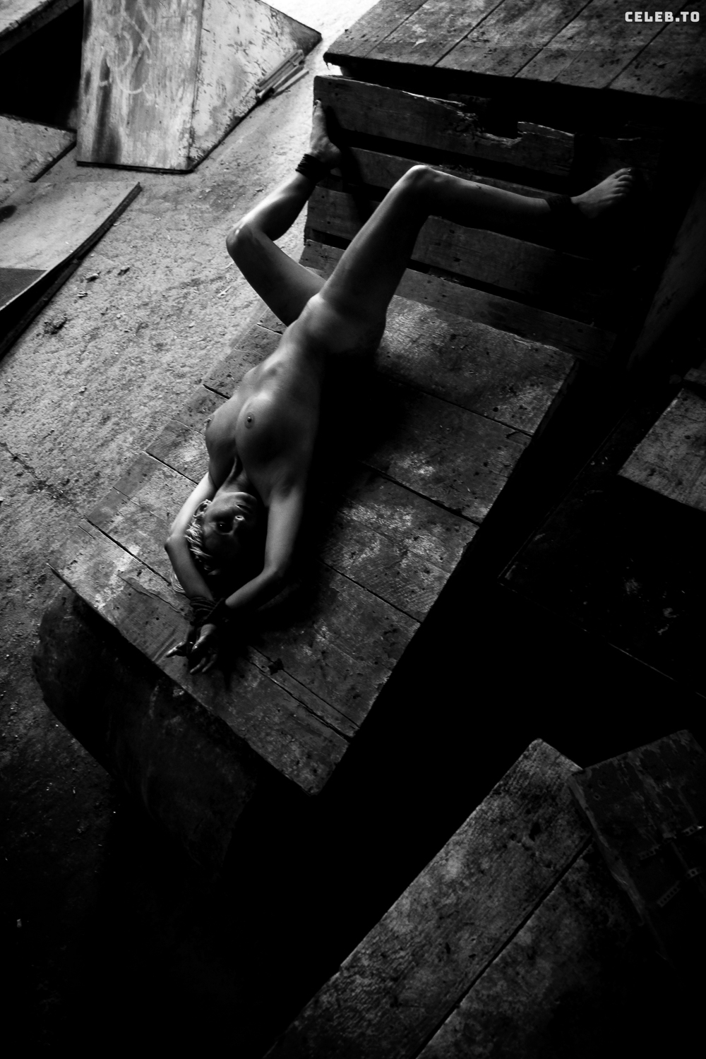 Image 9958716 from Calvato Photography - Patreon
