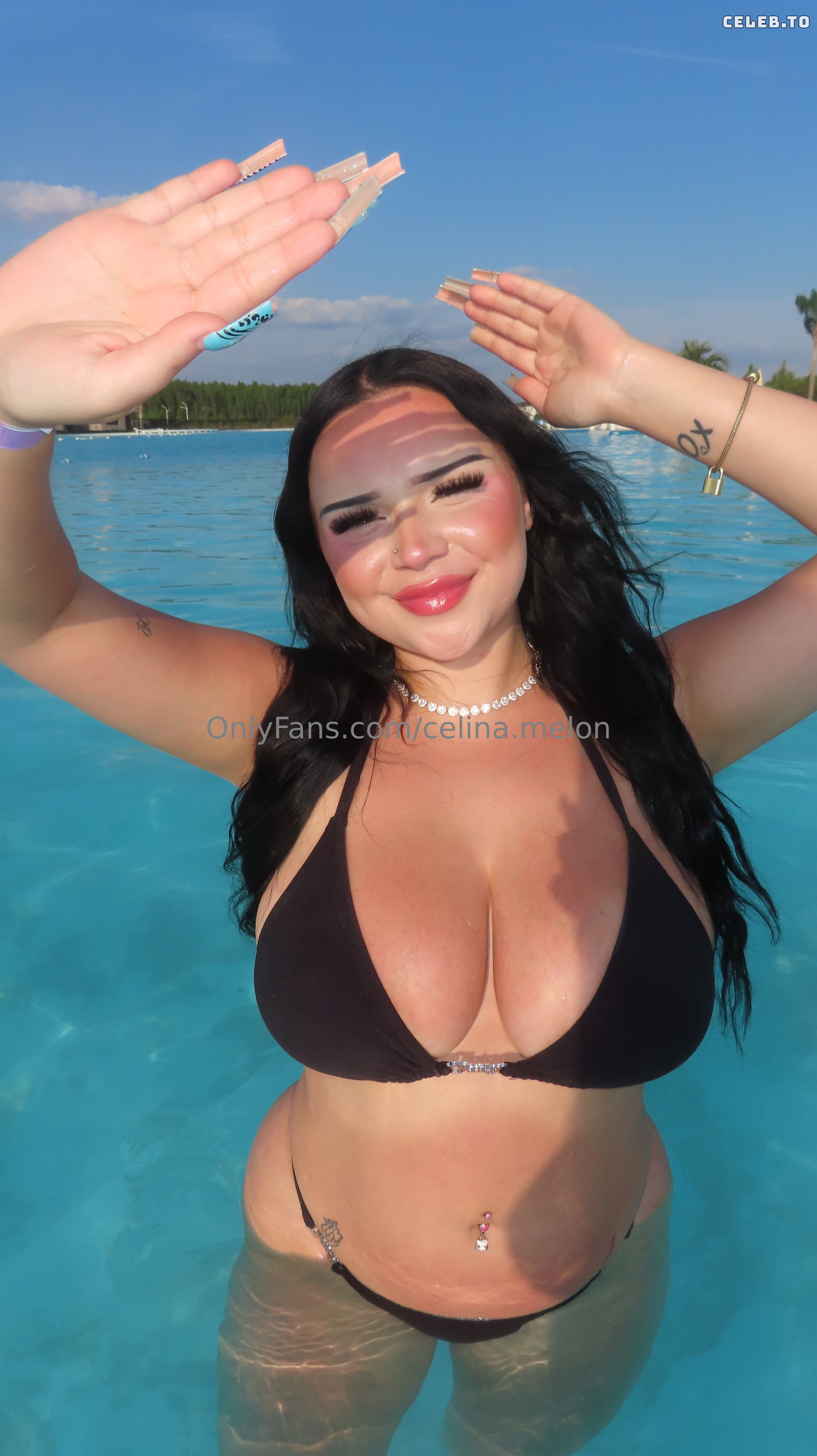 Image 9961143 from Celina Melon