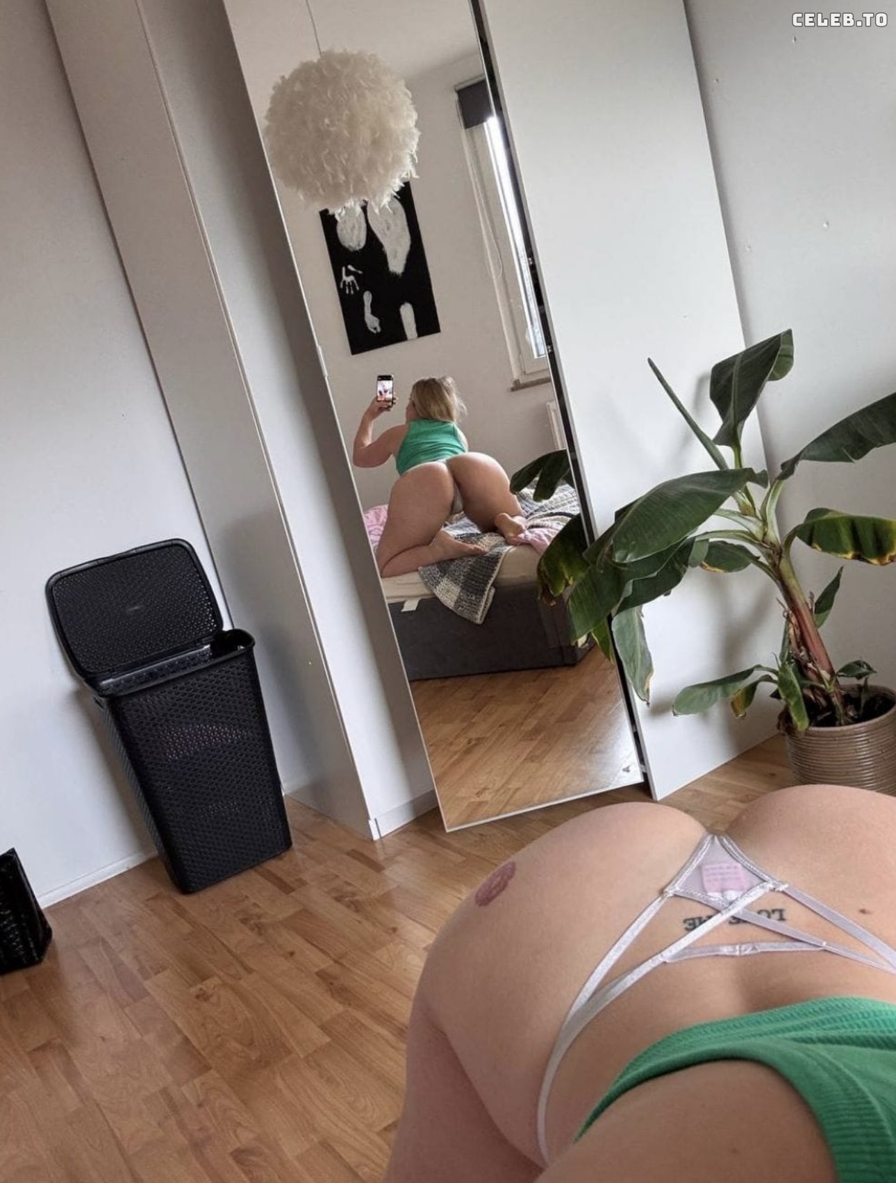 Image 9968197 from Alischa.mlr / jade.mlr